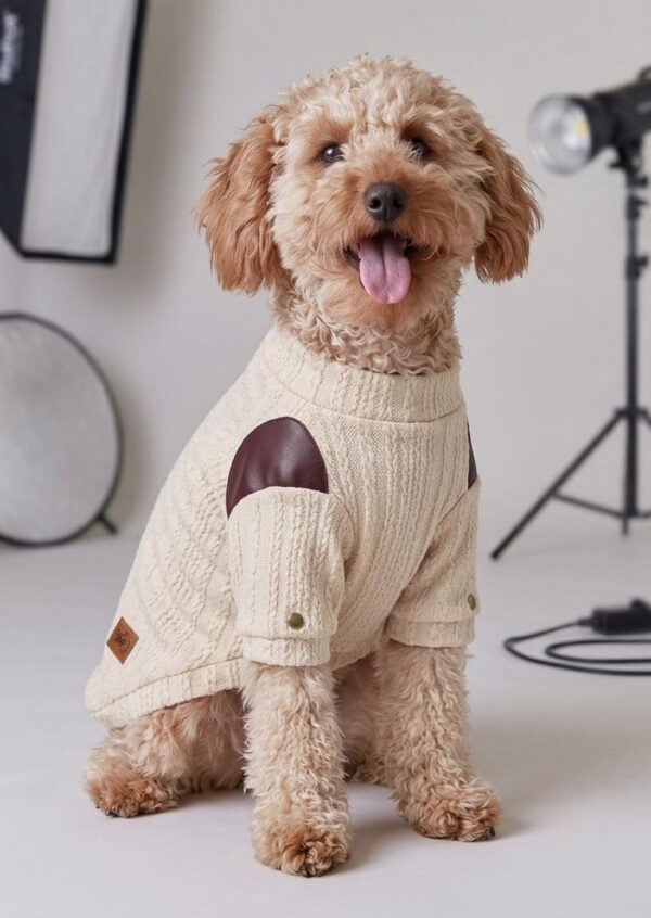 CHOMPERA TRENZADO - Ropa para perros y gatos