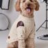 CHOMPERA TRENZADO - Ropa para perros y gatos