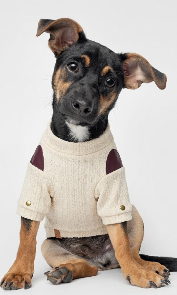 CHOMPERA TRENZADO - Ropa para perros y gatos