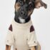 CHOMPERA TRENZADO - Ropa para perros y gatos