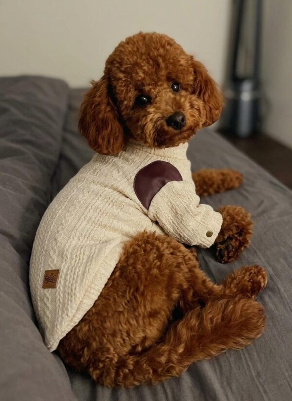 CHOMPERA TRENZADO - Ropa para perros y gatos