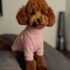 CAFARENAS WAFFLE - Ropa para perros y gatos
