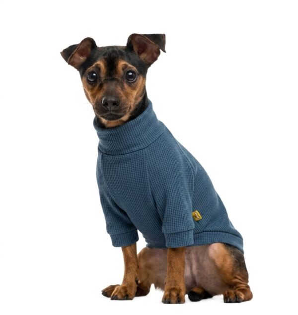 CAFARENAS WAFFLE - Ropa para perros y gatos