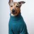 CAFARENAS WAFFLE - Ropa para perros y gatos