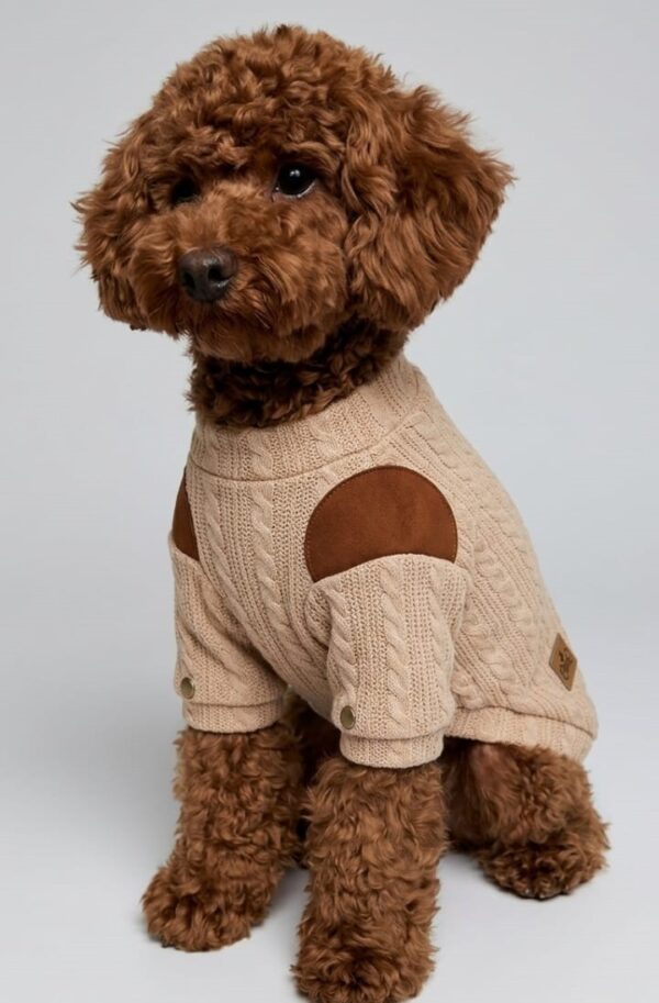 WhatsApp Image 2026-05-17 at 12.14.25 PM (1) CHOMPERA TRENZADO COLOR - Ropa para perros y gatos