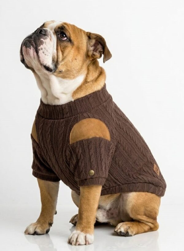 WhatsApp Image 2026-05-17 at 12.14.25 PM CHOMPERA TRENZADO COLOR - Ropa para perros y gatos