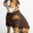 WhatsApp Image 2026-05-17 at 12.14.25 PM CHOMPERA TRENZADO COLOR - Ropa para perros y gatos