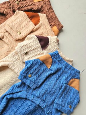 WhatsApp Image 2026-05-17 at 12.21.07 PM (1) CHOMPERA TRENZADO COLOR - Ropa para perros y gatos