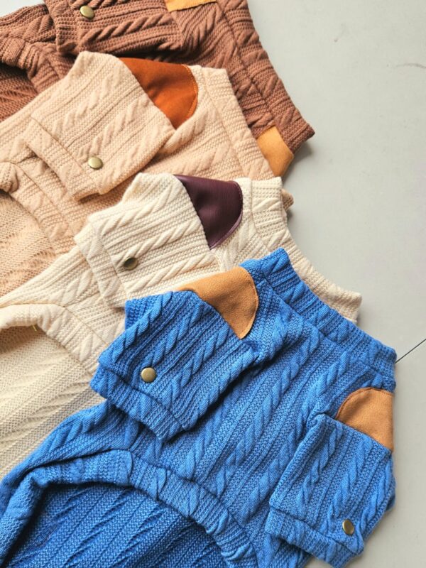 WhatsApp Image 2026-05-17 at 12.21.07 PM (1) CHOMPERA TRENZADO COLOR - Ropa para perros y gatos