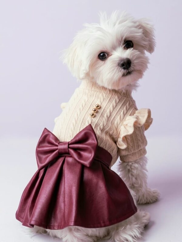 VESTIDO TRENZAS - Ropa para perros y gatos
