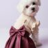 VESTIDO TRENZAS - Ropa para perros y gatos