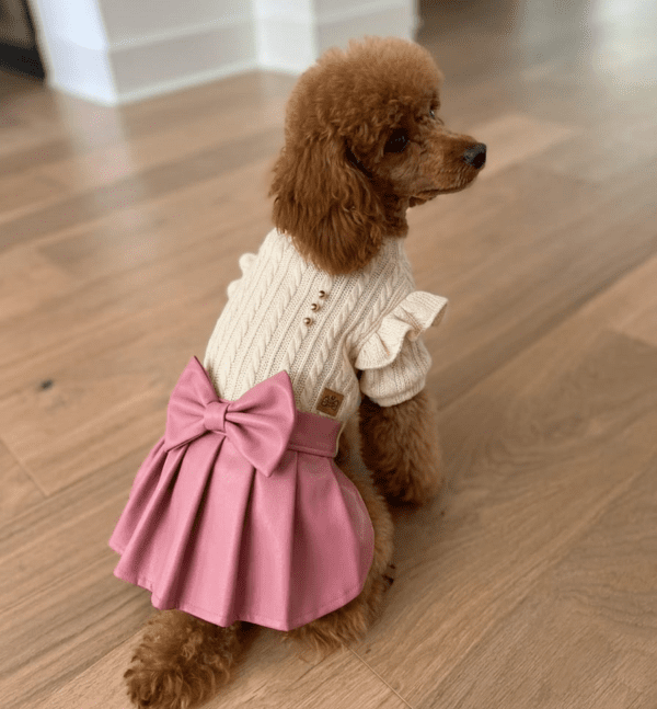VESTIDO TRENZAS - Ropa para perros y gatos