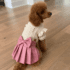 VESTIDO TRENZAS - Ropa para perros y gatos