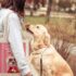 WhatsApp Image 2026-05-27 at 2.41.46 PM TOTE BAG HUESITO CLUB – Bolsa para Paseo con Mascotas