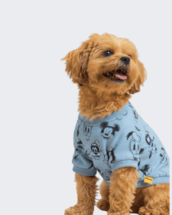 POLOS  MCKY - Ropa para perros y gatos