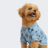 POLOS  MCKY - Ropa para perros y gatos