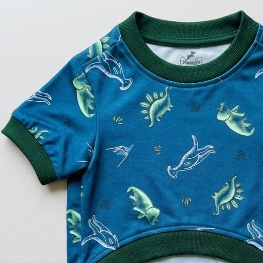 POLOS DINOSAURIOS - Ropa para perros y gatos